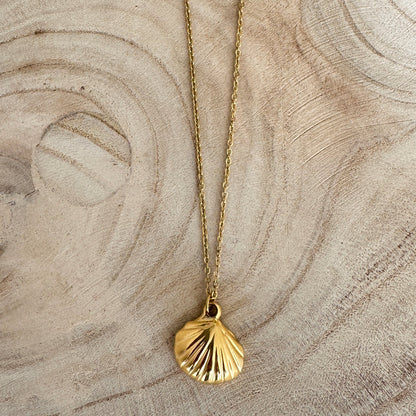 Shell Necklace - Gold